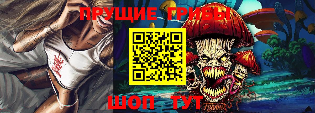 Орехово-Зуево  Псилоцибиновые грибы прущие грибы  Вход с VPN  Галлюциногенные грибы Psilocybe 