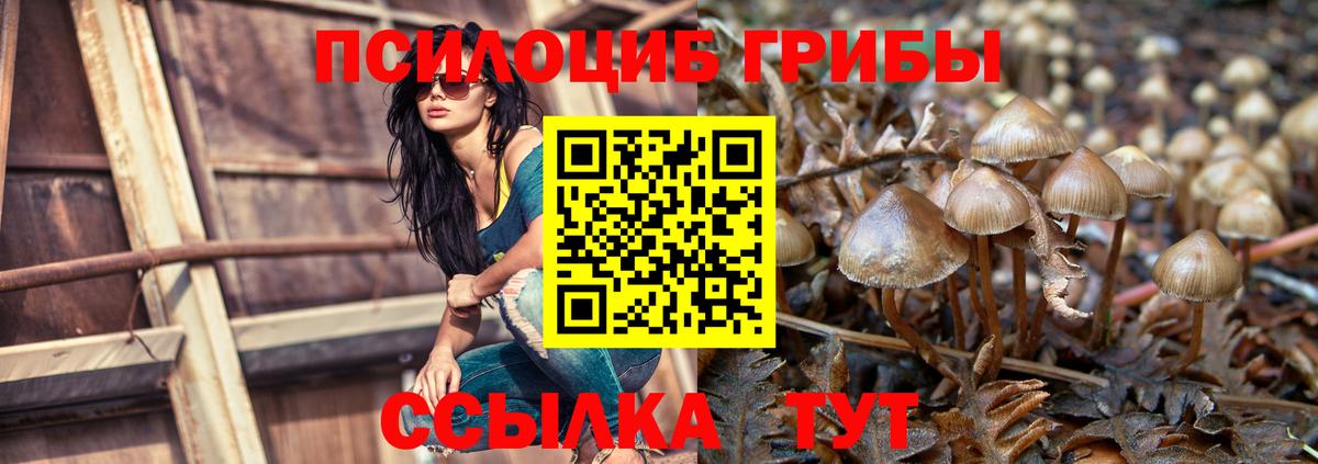 Галлюциногенные грибы Cubensis Орехово-Зуево